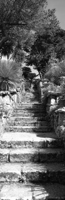 Tresco Abbey Garden, Tresco, Isles Of Scilly, England by Panoramic Images