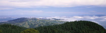 View of San Francisco from Mt Tamalpais, Marin County, California, USA by Panoramic Images