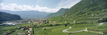 Curved road passing through a landscape, Bolzano, Alto Adige, Italy von Panoramic Images