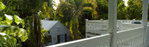 Trees near a house, Key West, Florida Keys, Florida, USA von Panoramic Images