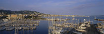 High angle view of boats docked at harbor, Cannes, France von Panoramic Images
