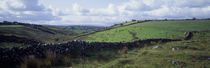 Stone wall on a landscape, Republic of Ireland by Panoramic Images