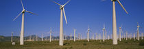 Wind turbines in a field, Mojave, California, USA von Panoramic Images