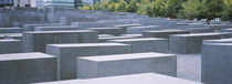 Trees near memorials, Memorial To The Murdered Jews of Europe, Berlin, Germany by Panoramic Images