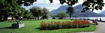 Park near Lake Lugano bkgrd MT Monte Bre canton Ticino Switzerland by Panoramic Images