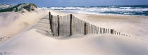 USA, North Carolina, Outer Banks by Panoramic Images