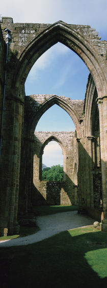 Low angle view of an archway, Bolton Abbey, Yorkshire, England von Panoramic Images