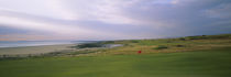 Golf flag on a golf course, Royal Porthcawl Golf Club, Porthcawl, Wales by Panoramic Images