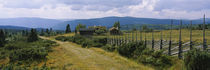 Farmhouses in a field, Gudbrandsdalen, Oppland, Norway by Panoramic Images