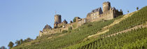 Low Angle View Of A Castle, Burg Thurant, Germany von Panoramic Images
