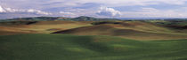 Clouds over a rolling landscape, Palouse, Whitman County, Washington State, USA von Panoramic Images