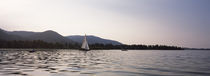 Sailboat in a lake, Rottach-Egern, Lake Tegernsee, Miesbach, Bavaria, Germany von Panoramic Images