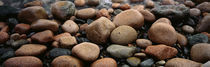 Rocks Acadia National Park ME USA by Panoramic Images