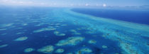 Ambergris Caye, Caribbean Sea, Belize by Panoramic Images