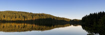 Lenzkirch, Black Forest, Schwarzwald, Baden-Wurttemberg, Germany by Panoramic Images