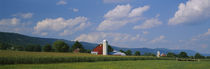 Cultivated field in front of a barn, Kishacoquillas Valley, Pennsylvania, USA by Panoramic Images