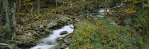 High angle view of a stream passing through a forest, New Hampshire, USA von Panoramic Images