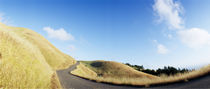 Curved road on the mountain, Marin County, California, USA von Panoramic Images