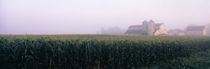 Barn in a field, Illinois, USA by Panoramic Images