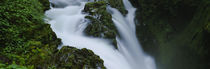 Olympic National Park, Washington State, USA by Panoramic Images