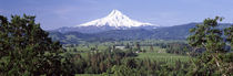 Mt Hood, Oregon, USA by Panoramic Images