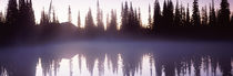 Reflection of trees in a lake, Mt Rainier, Pierce County, Washington State, USA von Panoramic Images