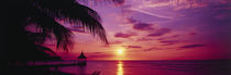 Sunset, Palm Trees, Beach, Water, Ocean, Montego Bay Jamaica by Panoramic Images