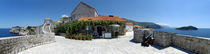 Potted plants in front of a building, Dubrovnik, Croatia von Panoramic Images