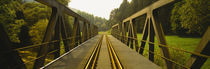 Railroad tracks passing through a bridge, Germany von Panoramic Images