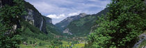 Forest, Lauterbrunnen Valley, Bernese Oberland, Berne Canton, Switzerland von Panoramic Images