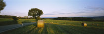 Hay bales in a field, Germany von Panoramic Images