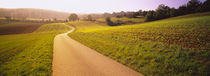 Road passing through a rolling landscape, Baden-Wurttemberg, Germany by Panoramic Images