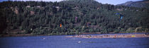 Kite surfer over a river, Hood River, Oregon, USA von Panoramic Images