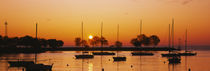 Silhouette of sailboats in a lake, Lake Michigan, Chicago, Illinois, USA by Panoramic Images