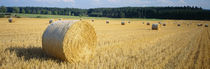 Bales of Hay Southern Germany by Panoramic Images