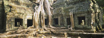 Old ruins of a building, Angkor Wat, Cambodia by Panoramic Images