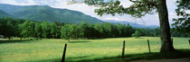 Great Smoky Mountains National Park, Tennessee, USA by Panoramic Images