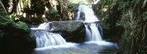 Waterfalls Hilo HI von Panoramic Images