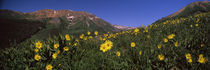 Crested Butte, Gunnison County, Colorado, USA by Panoramic Images