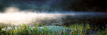 Panorama Print - Morgennebel Acadia Nationalpark ME USA von Panoramic Images