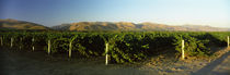  Santa Barbara County, California, USA von Panoramic Images