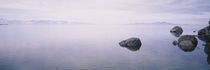 Rock formations in a lake, Great Salt Lake, Utah, USA by Panoramic Images