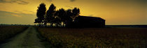 Silhouette of a farmhouse at sunset, Polesine, Veneto, Italy von Panoramic Images