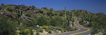 Panorama Print - Straße durch die Wüste, Phoenix, Arizona, USA von Panoramic Images