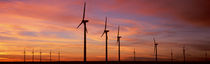 Wind Turbine In The Barren Landscape, Brazos, Texas, USA by Panoramic Images