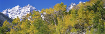 Aspen, Pitkin County, Colorado, USA by Panoramic Images