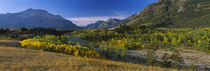 Trees in a valley, Waterton Lakes National Park, Alberta, Canada von Panoramic Images