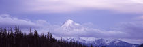 Snowcapped mountain viewed from Lost Lake, Mt Hood, Oregon, USA by Panoramic Images