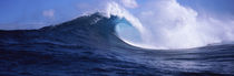 Waves in the sea, Maui, Hawaii, USA by Panoramic Images