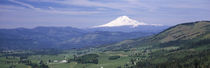 Hood River Valley, Oregon, USA by Panoramic Images